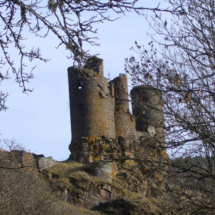 Photo de Château du Tournel
